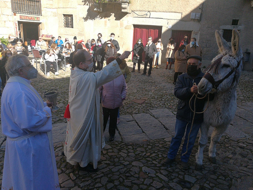 La Alberca recuerda la solidaridad del pueblo en la rifa del marrano de San Antón