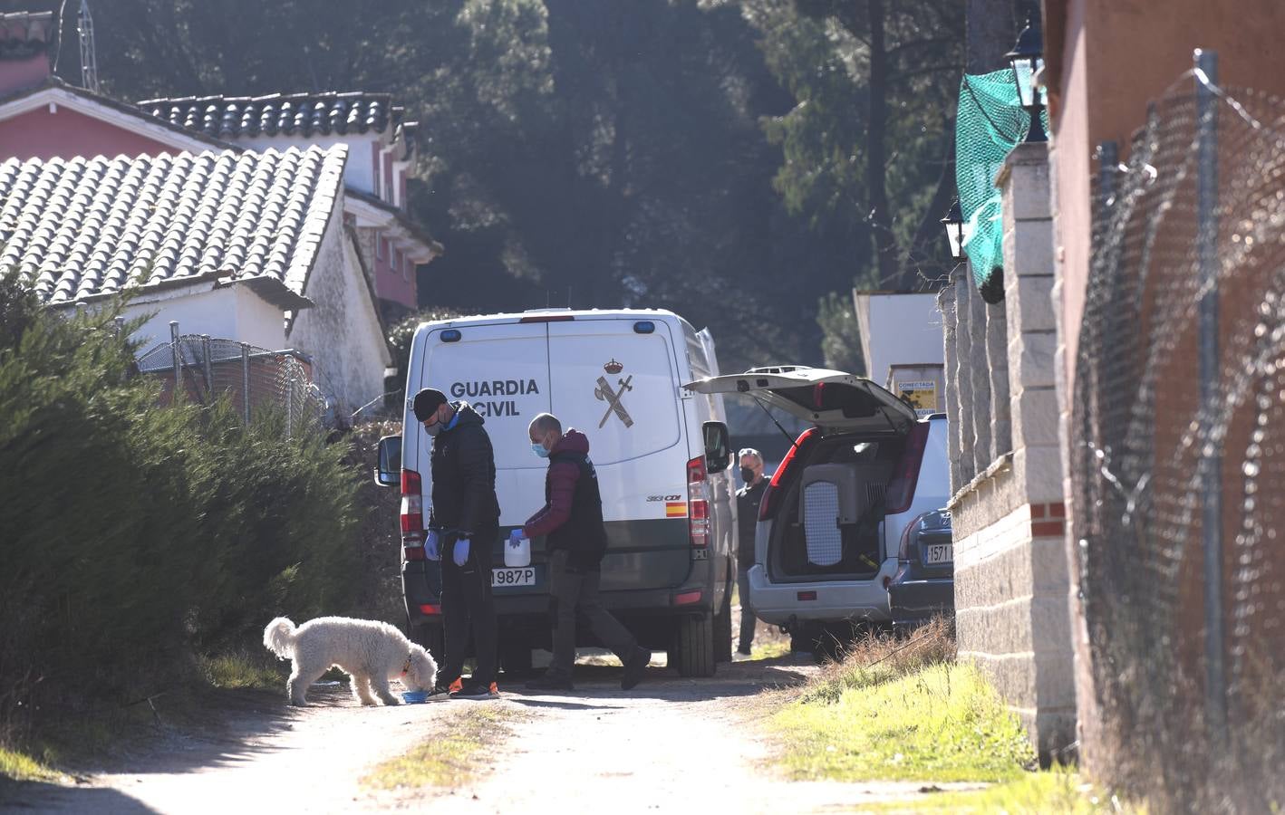 Fotos: Los buzos inician en el Duero la búsqueda de la joven Esther López, desaparecida en Traspinedo