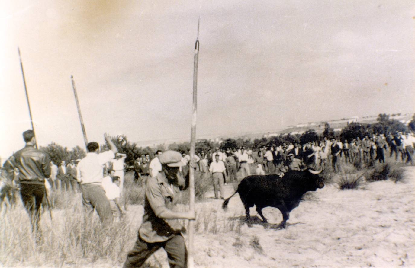 Celebración del Toro de la Vega, en 1958