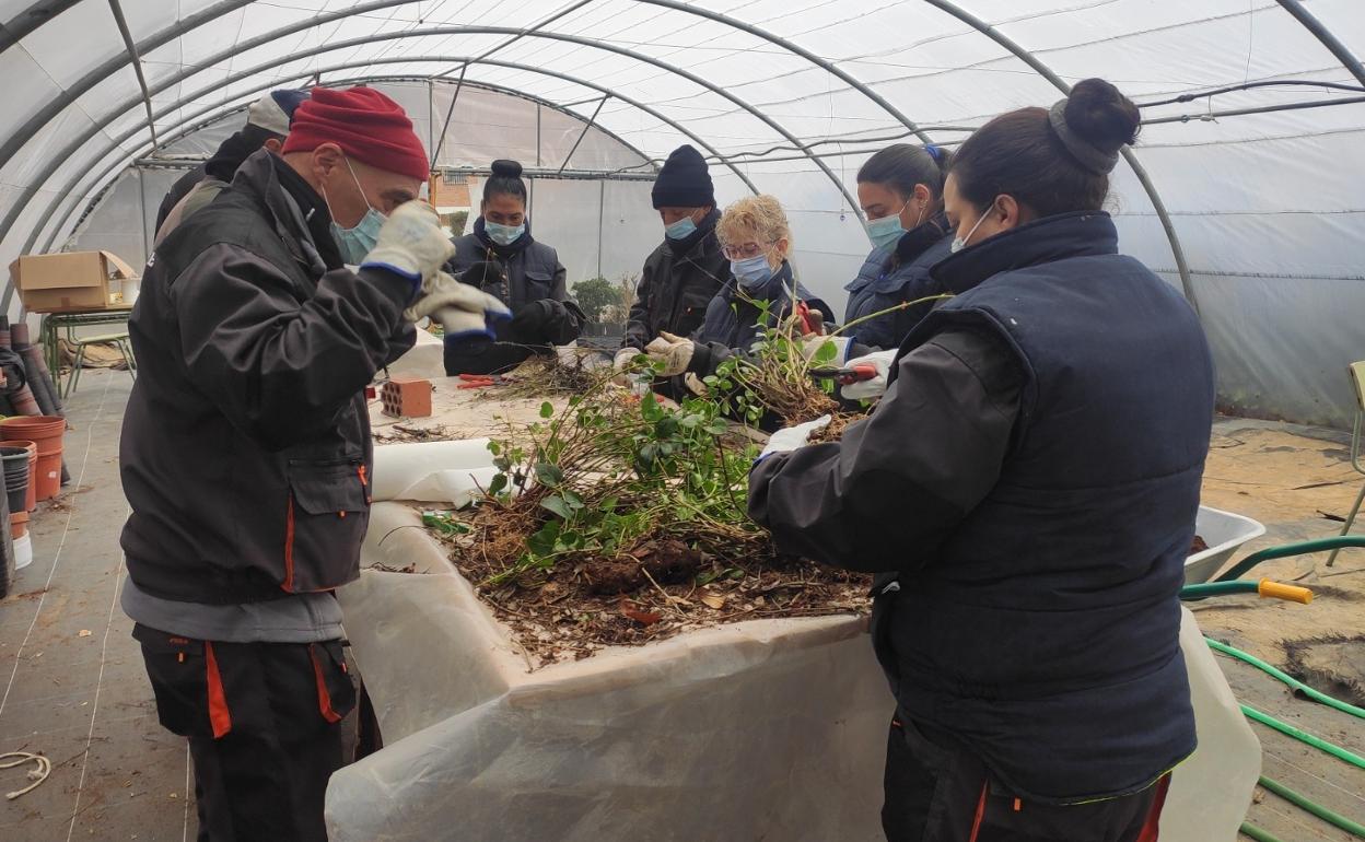 Clase práctica de AFE Restaura Verde en Alba de Tormes. 