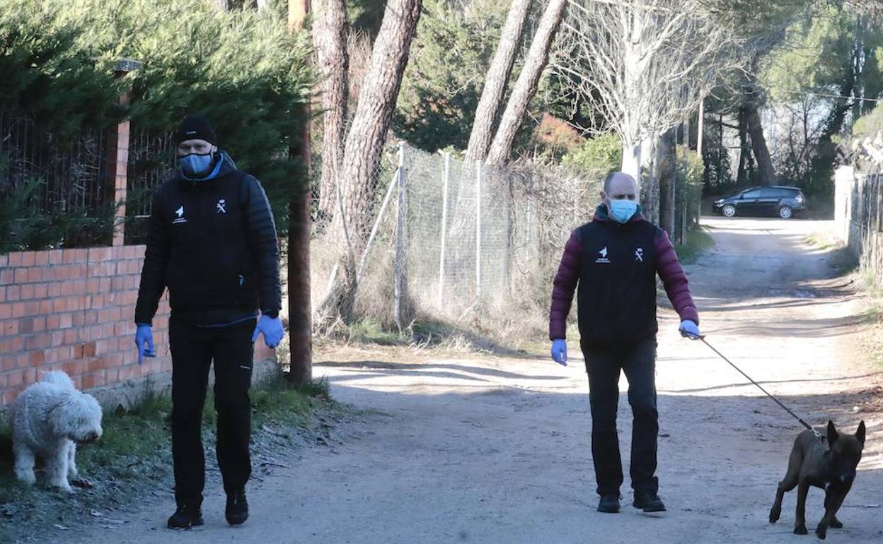 Los perros, Dylan y Bill, en las inmediaciones del chalé del detenido por la desaparición de Esther. 