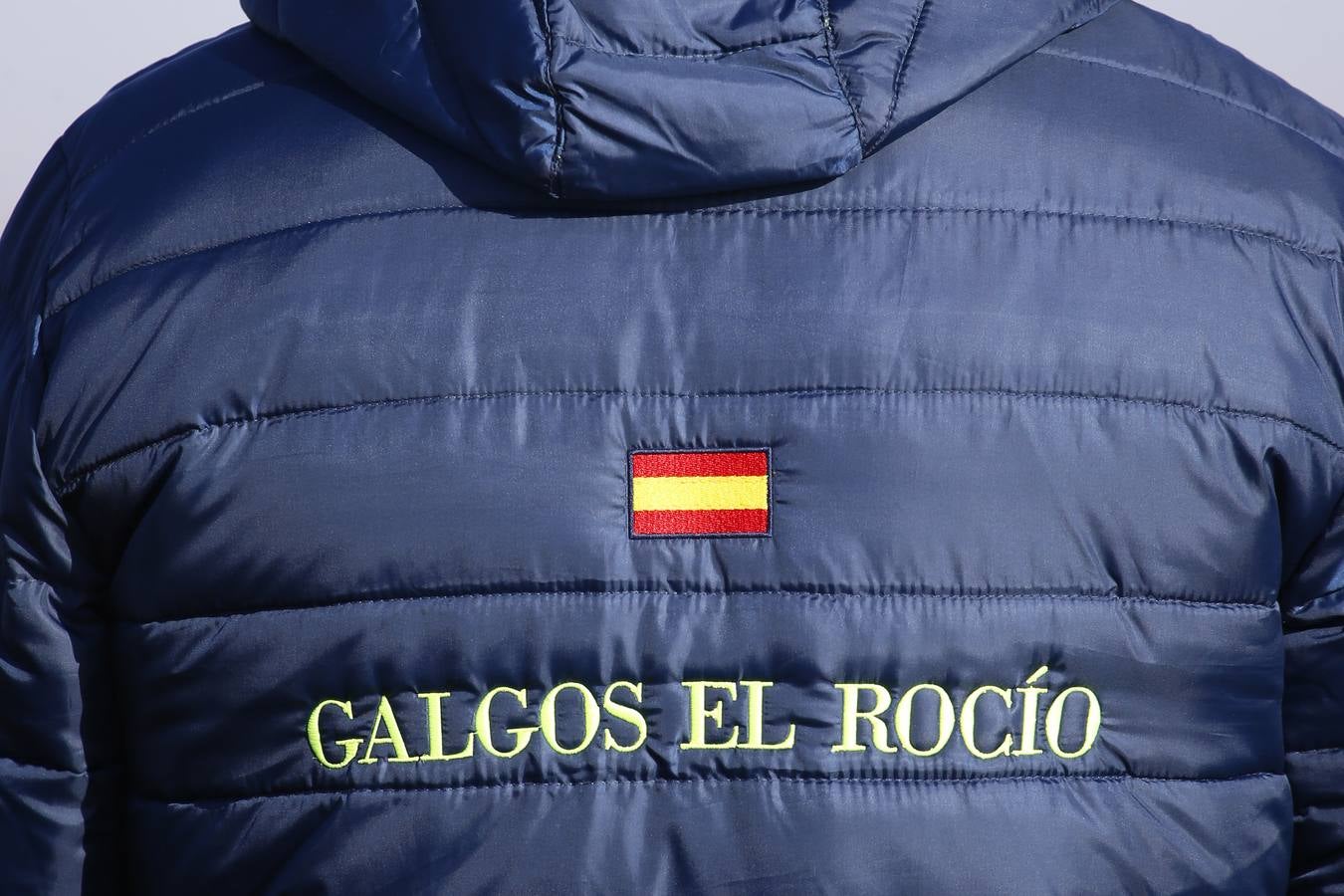 Fotos: Segunda jornada de semifinales del LXXXIV Campeonato de España de Galgos en Campo