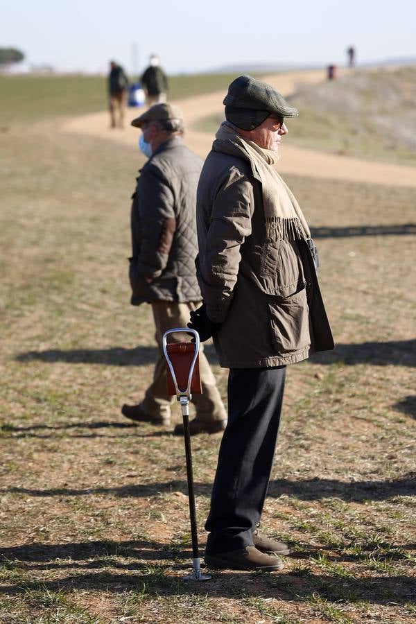 Fotos: Segunda jornada de semifinales del LXXXIV Campeonato de España de Galgos en Campo