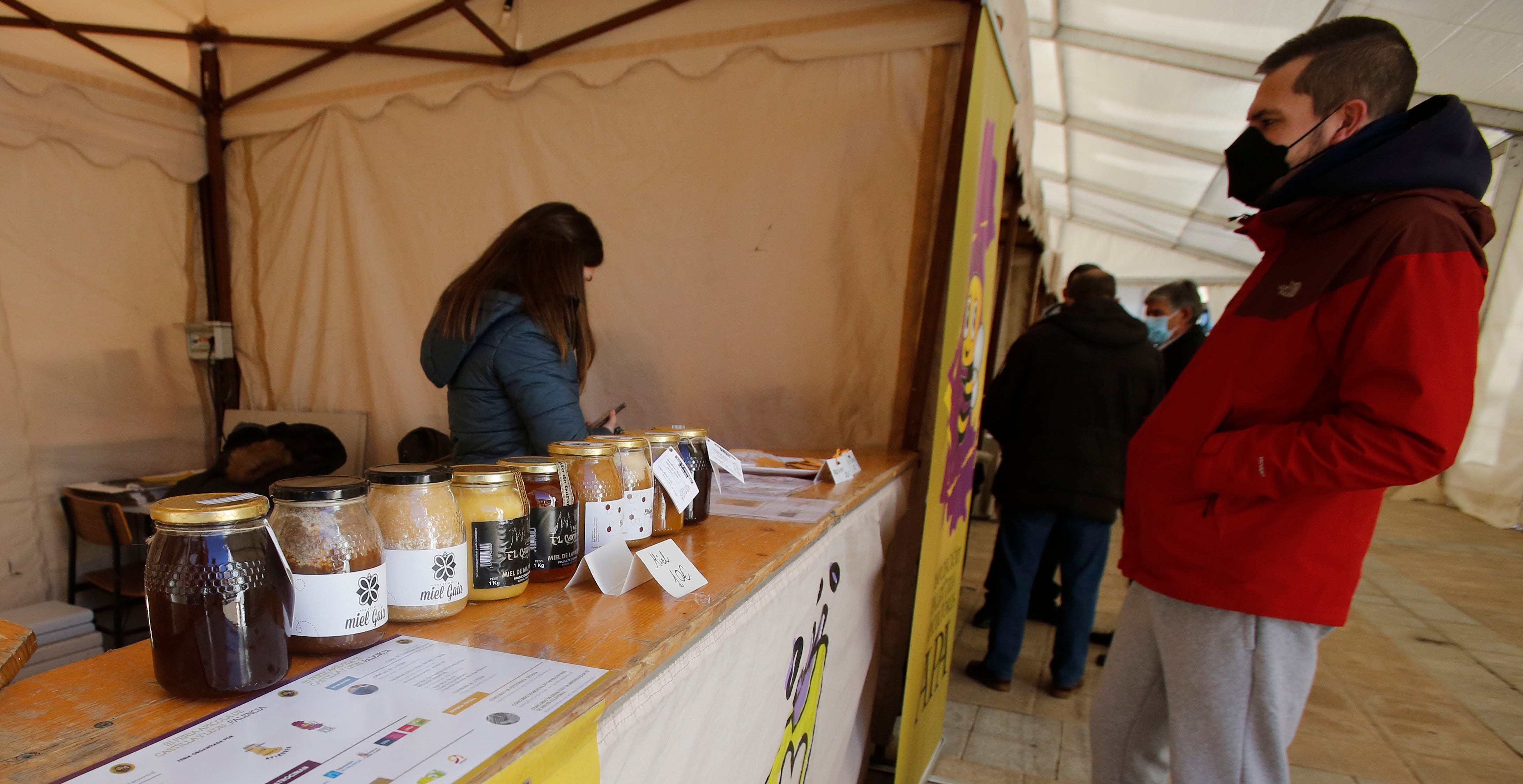 Inauguración de la III Feria de Apicultura en Palencia