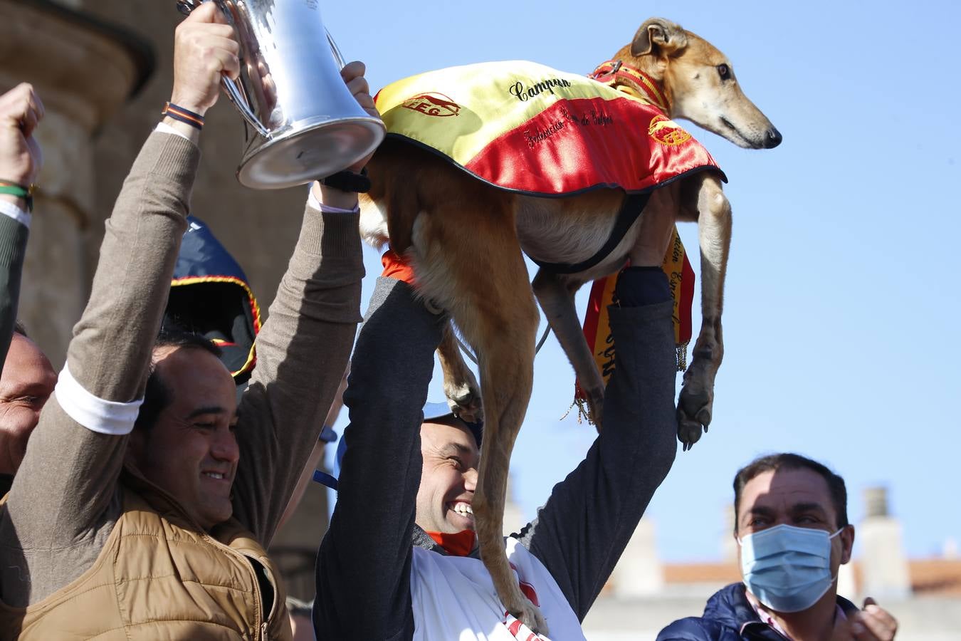 Fotos: El galgo castellano y leonés Rubio de Triki se impone en el Campeonato Nacional en Campo