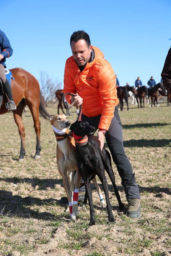 Fotos: El galgo castellano y leonés Rubio de Triki se impone en el Campeonato Nacional en Campo