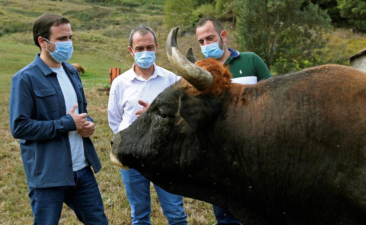 El ministro Garzón, en el mes de septiembre ne una explotación ganadera. 