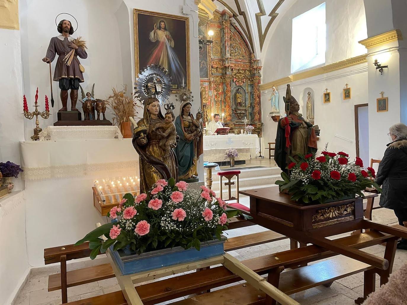 Fotos: Megeces festeja a la Virgen de las Candelas y San Blas