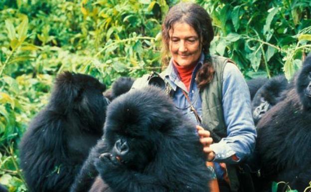 Dian Fossey.