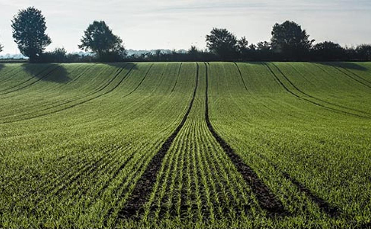 La Universidad de Salamanca participa en el proyecto nacional 'SOS Agua XXI'