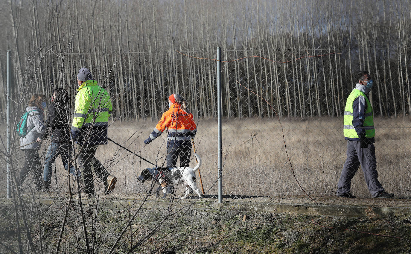 Fotos: Búsqueda de Timoteo en Carrión de los Condes