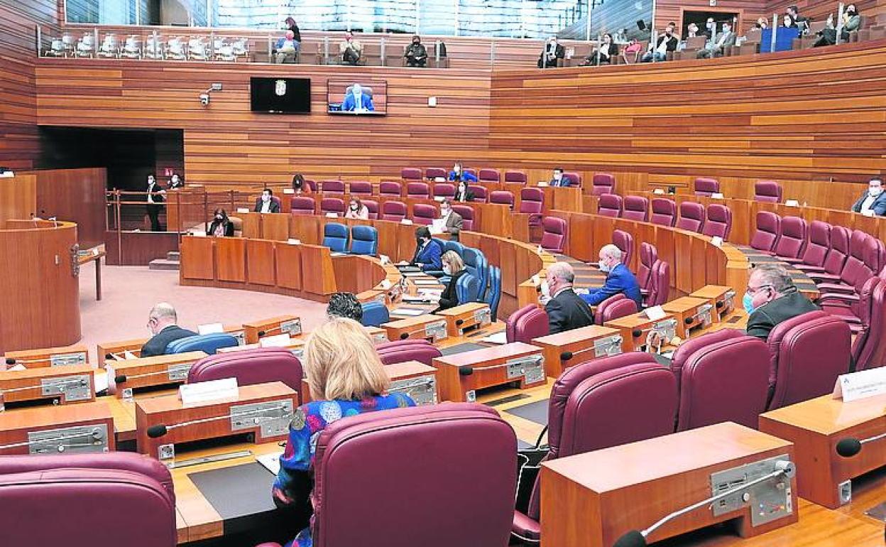 Pleno de las Cortes. 