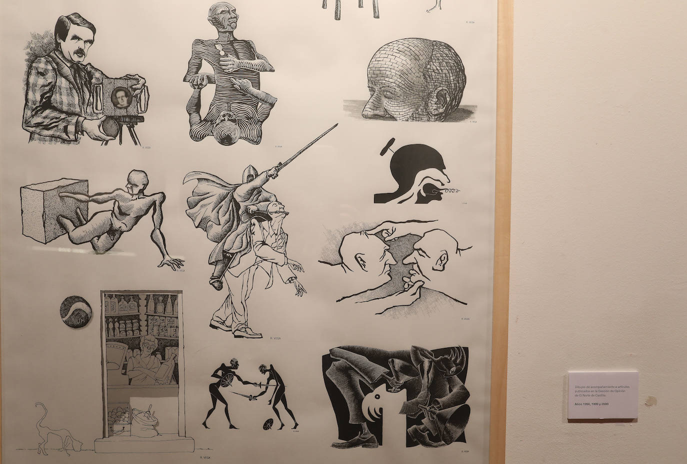 Fotos: La mirada de Sansón recala en Palencia