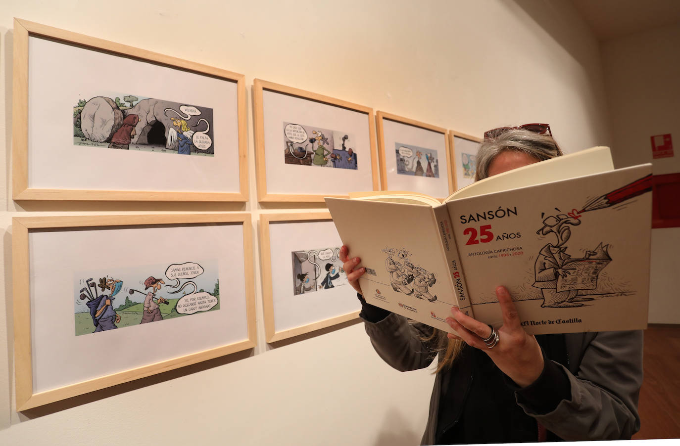 Fotos: La mirada de Sansón recala en Palencia