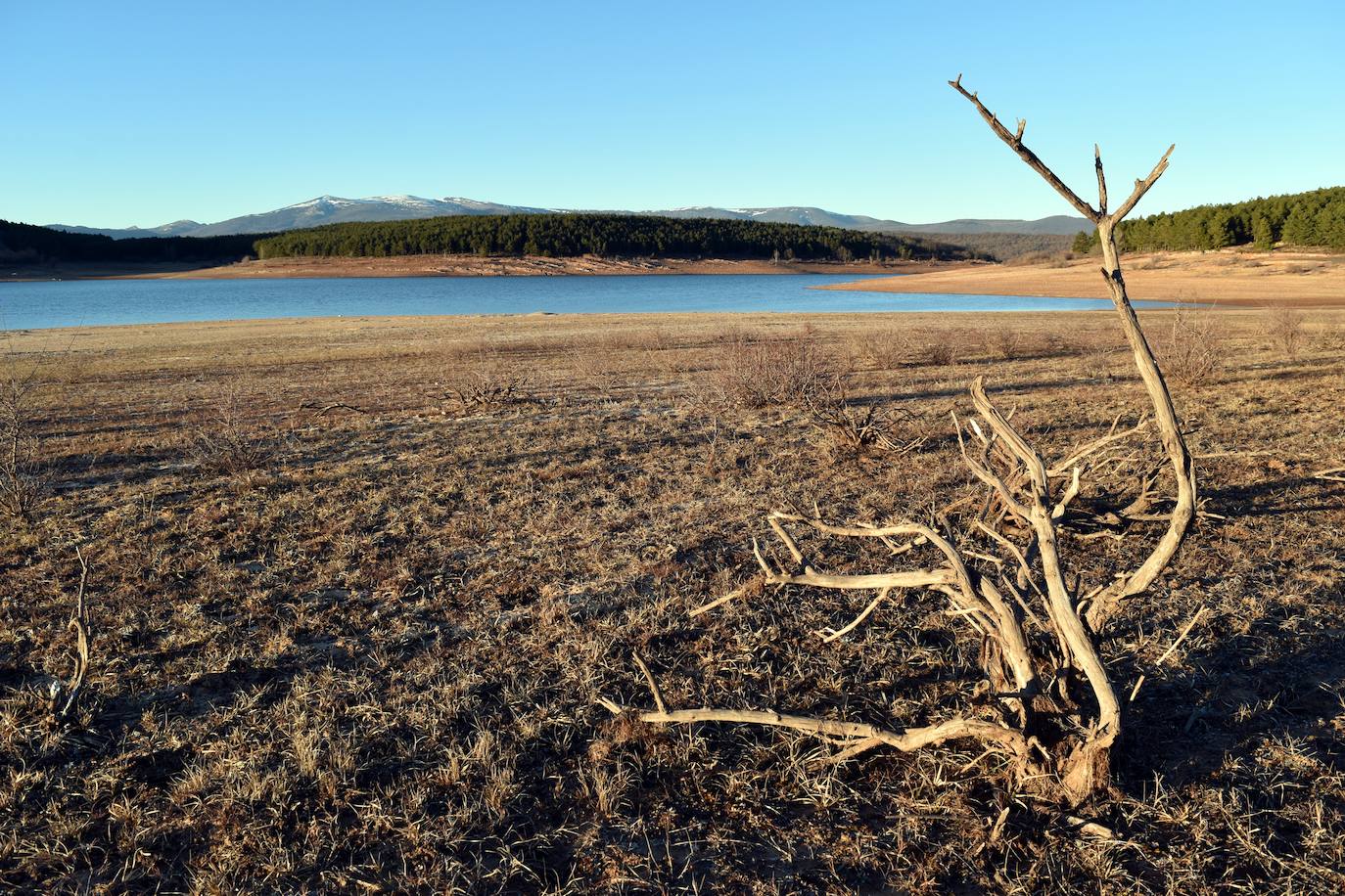 Fotos: Primeros signos de alerta en los pantanos de Palencia