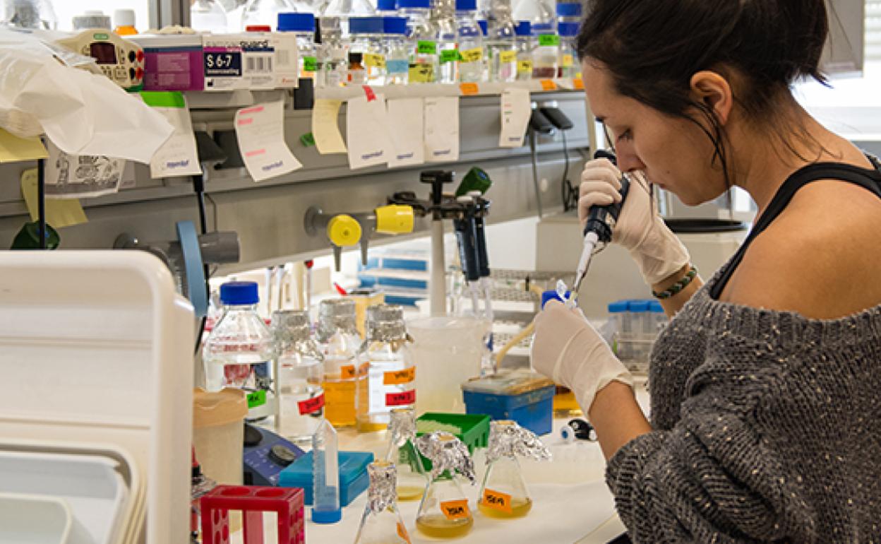 Una investigadora trabaja en un laboratorio. 