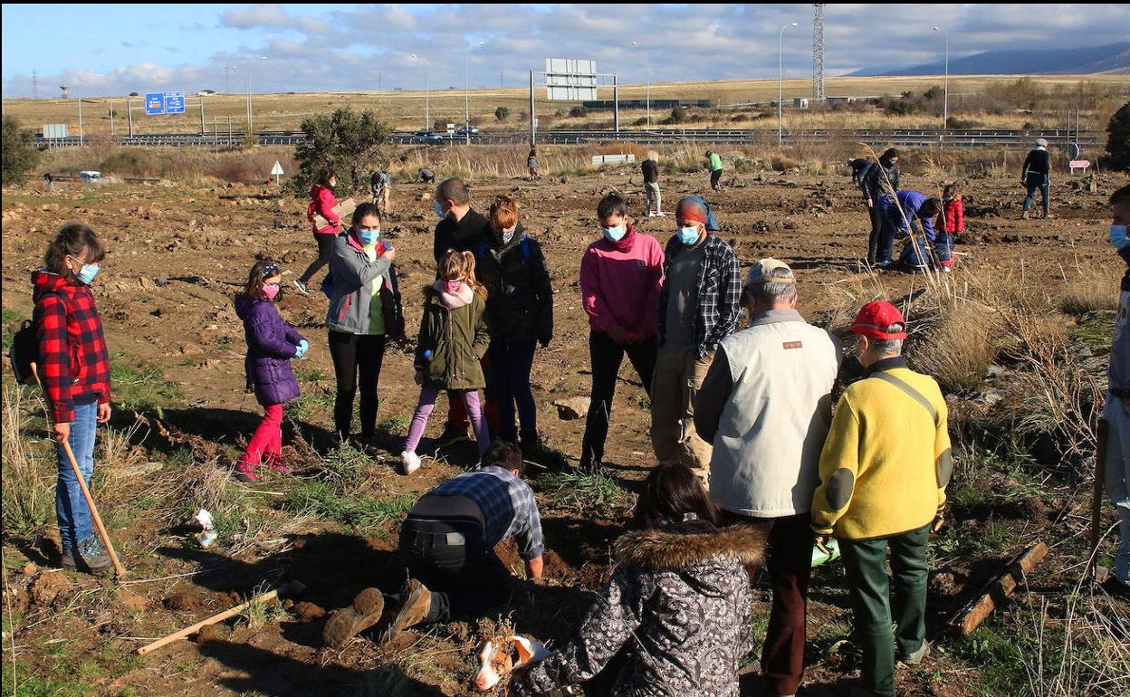 Plantación de árboles en Hontoria. 