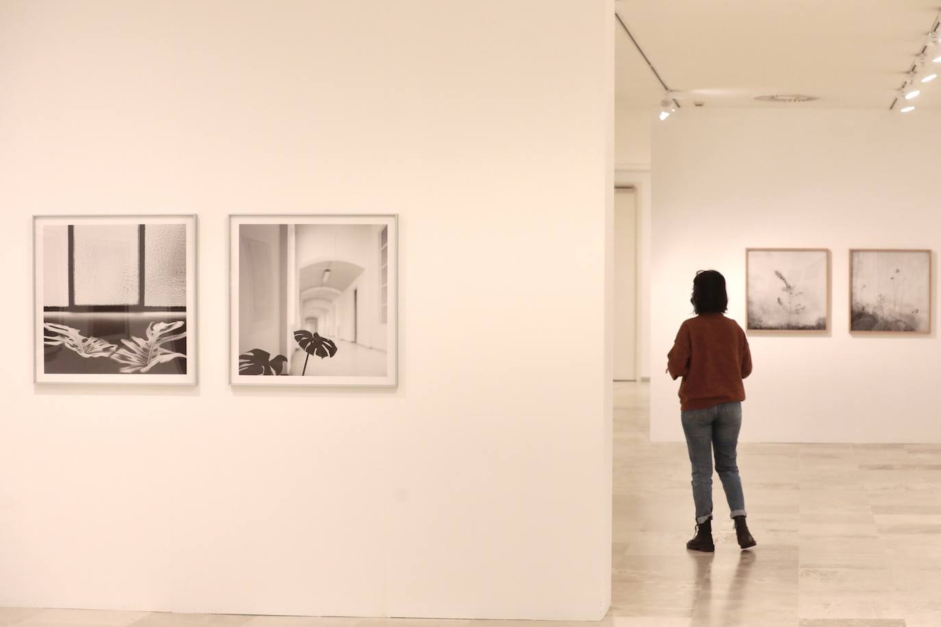 Fotos: Exposición fotográfica de Carlos Cánovas en el Museo del Patio Herreriano