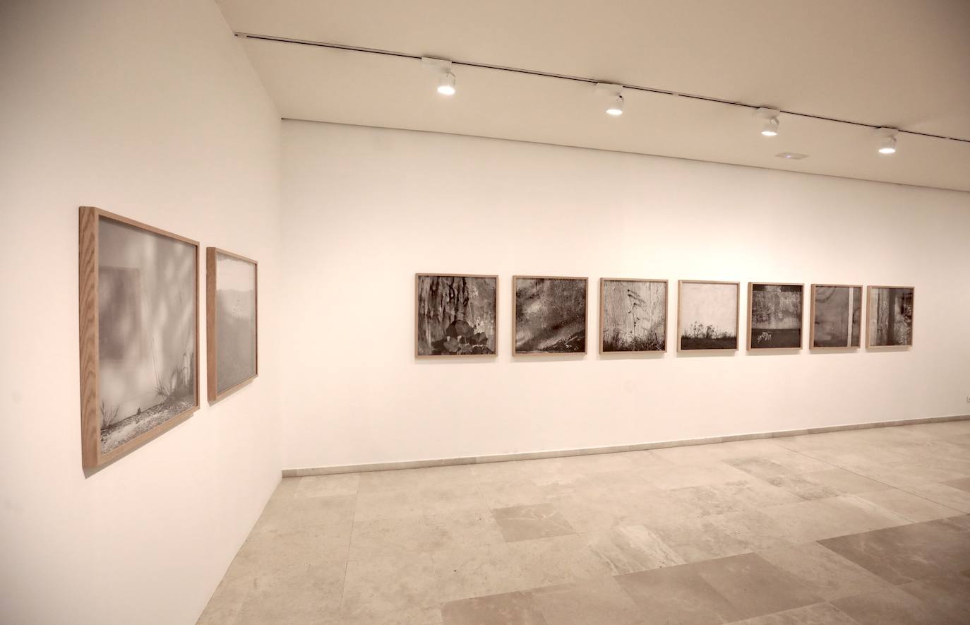 Fotos: Exposición fotográfica de Carlos Cánovas en el Museo del Patio Herreriano