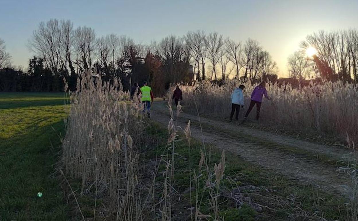 Voluntarios este sábado en las labores de búsqueda. 