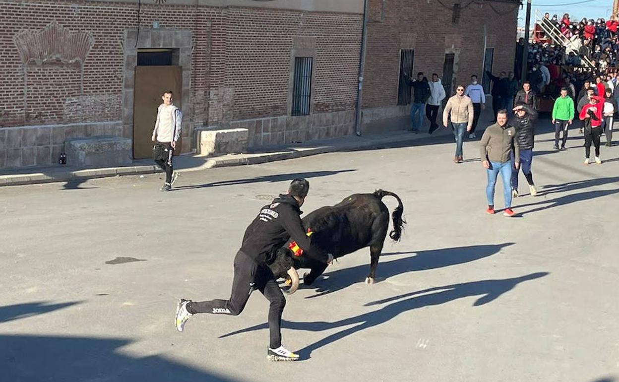 Un cortador cita a uno de los astados del encierro. 