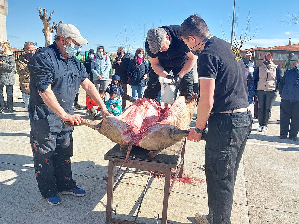 Los vecinos de Tamames disfrutan de su tradicional matanza