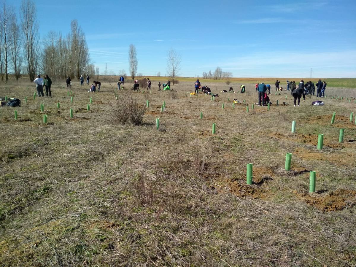 Fotos: Vecinos de Villacid participan en la reforestación del entorno de la ermita de Bustillino