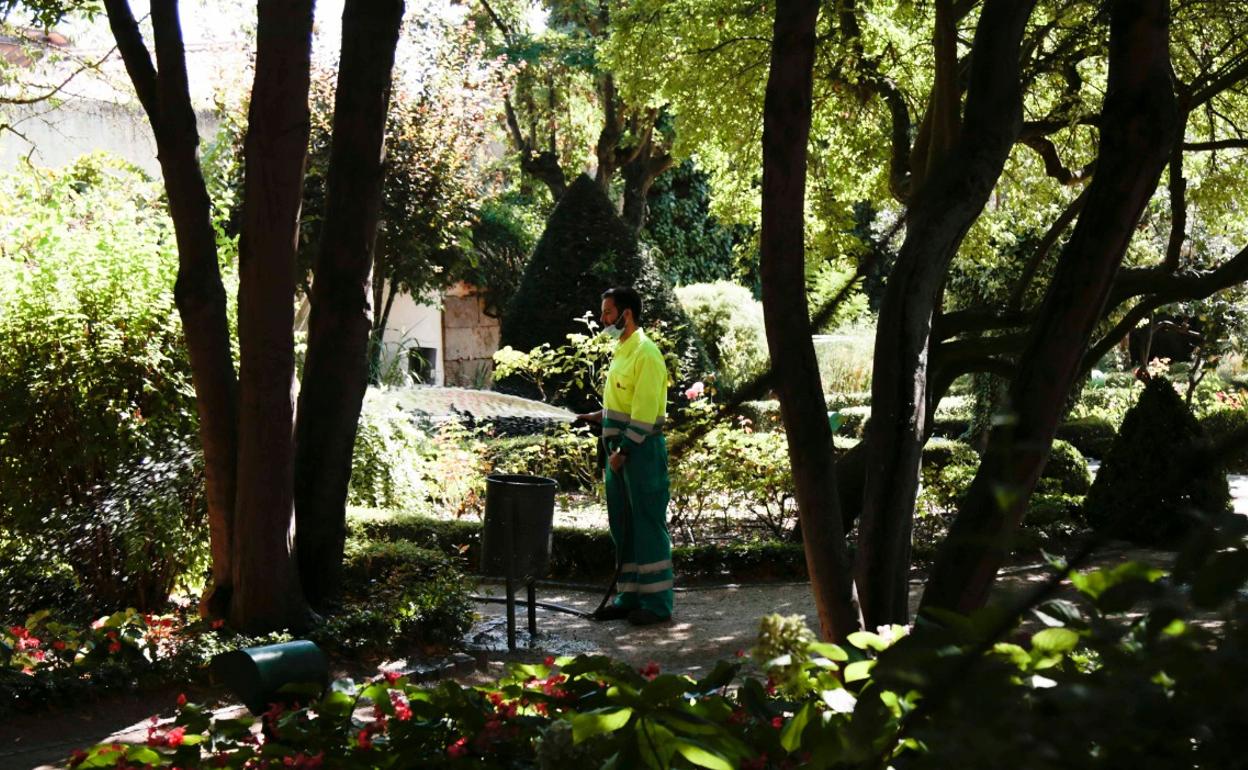 Un operario de parques y jardines trabajando.