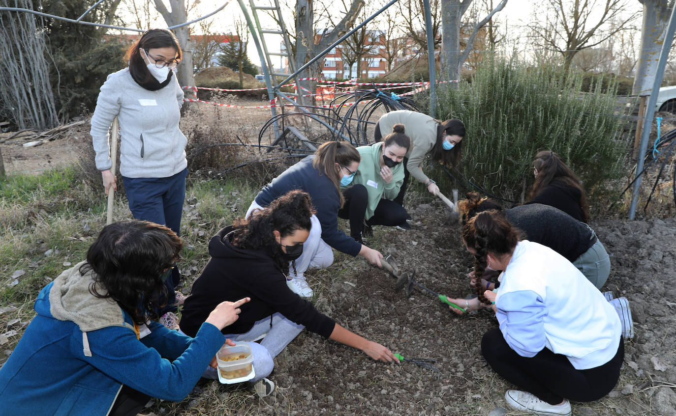 Fotos: El huerto como herramienta educativa en La Yutera