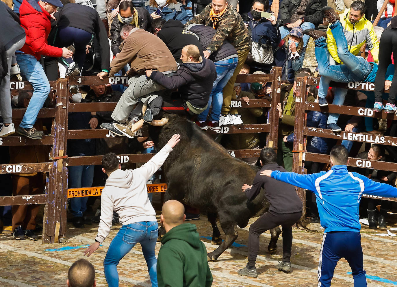 Fotos: Carnaval del Toro en Ciudad Rodrigo