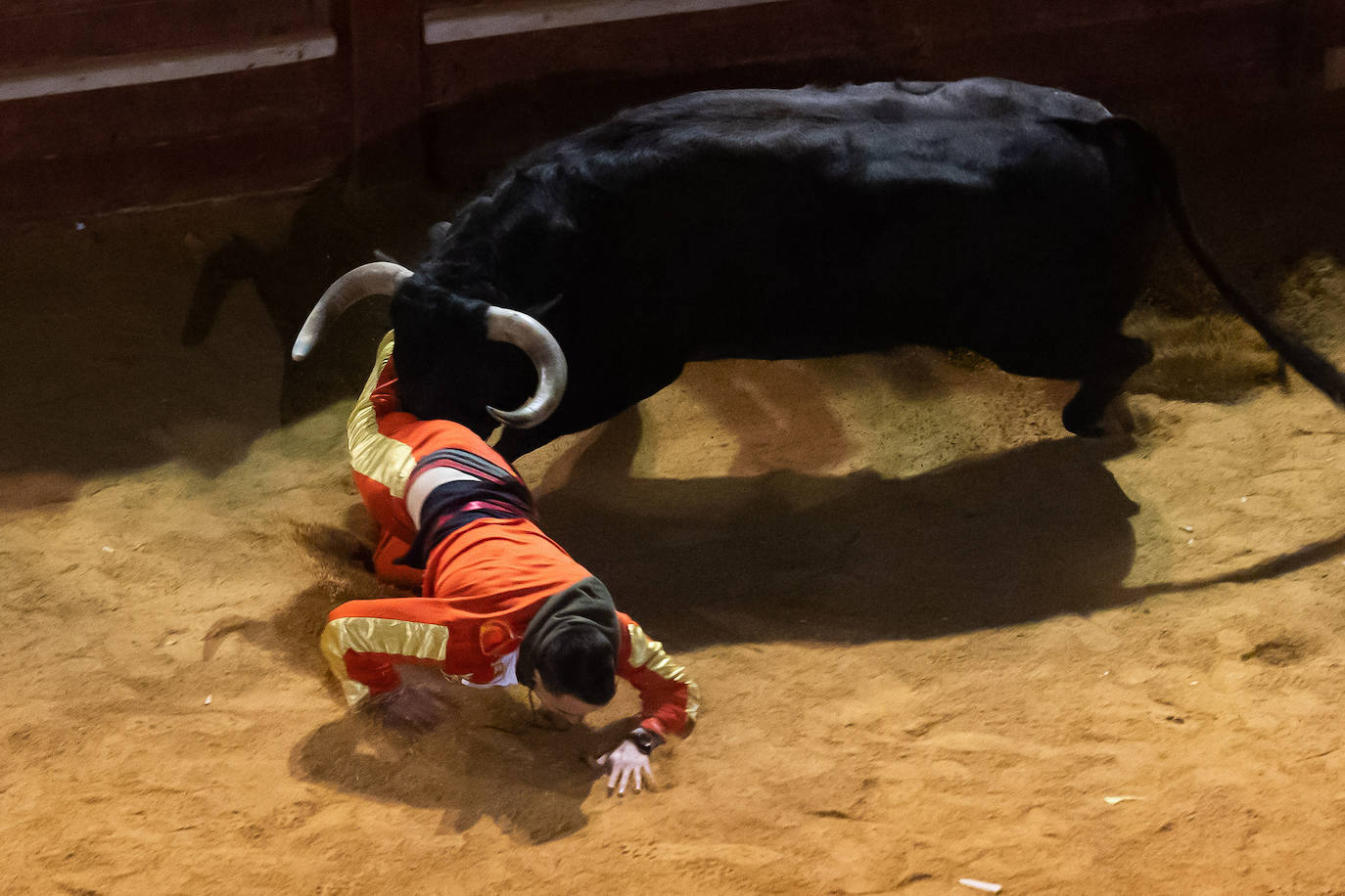 Fotos: Carnaval del Toro en Ciudad Rodrigo