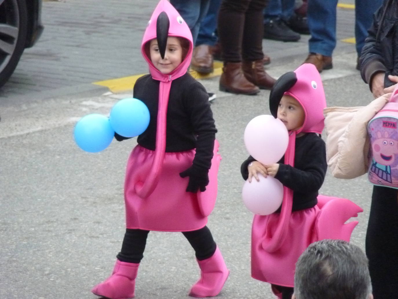 Fotos: Desfile de Carnaval en Tudela de Duero