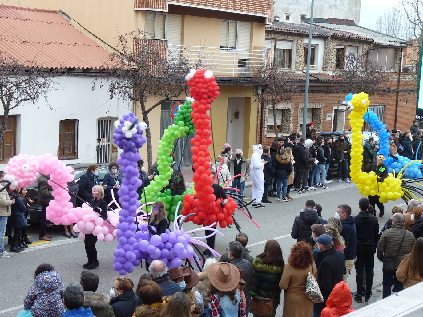 Fotos: Desfile de Carnaval en Tudela de Duero