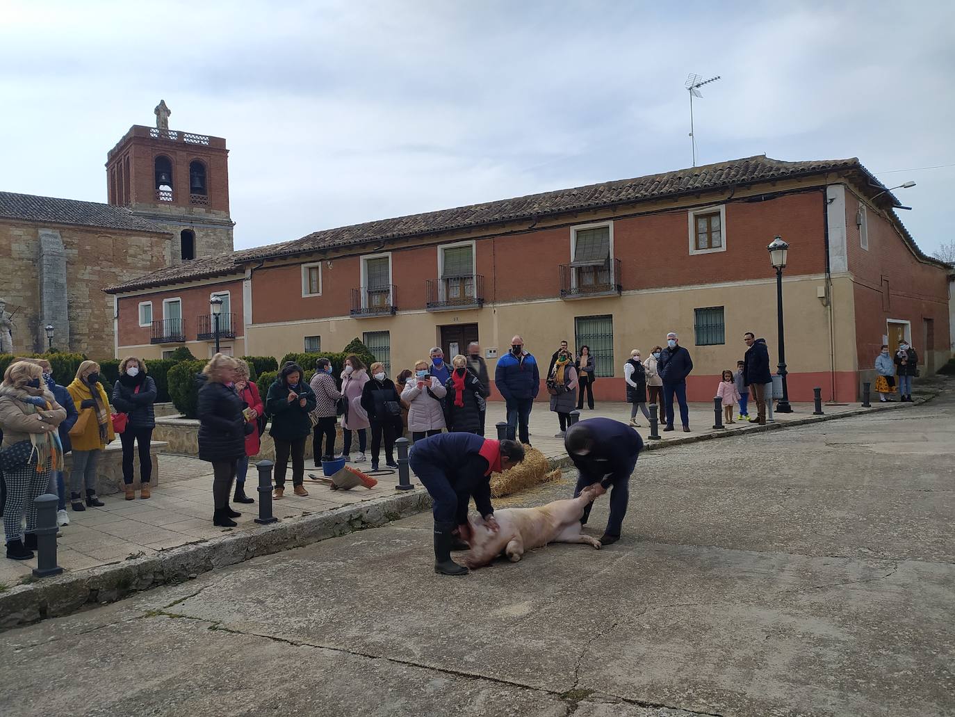 Fotos: Fiesta de la matanza en Palazuelo de Vedija