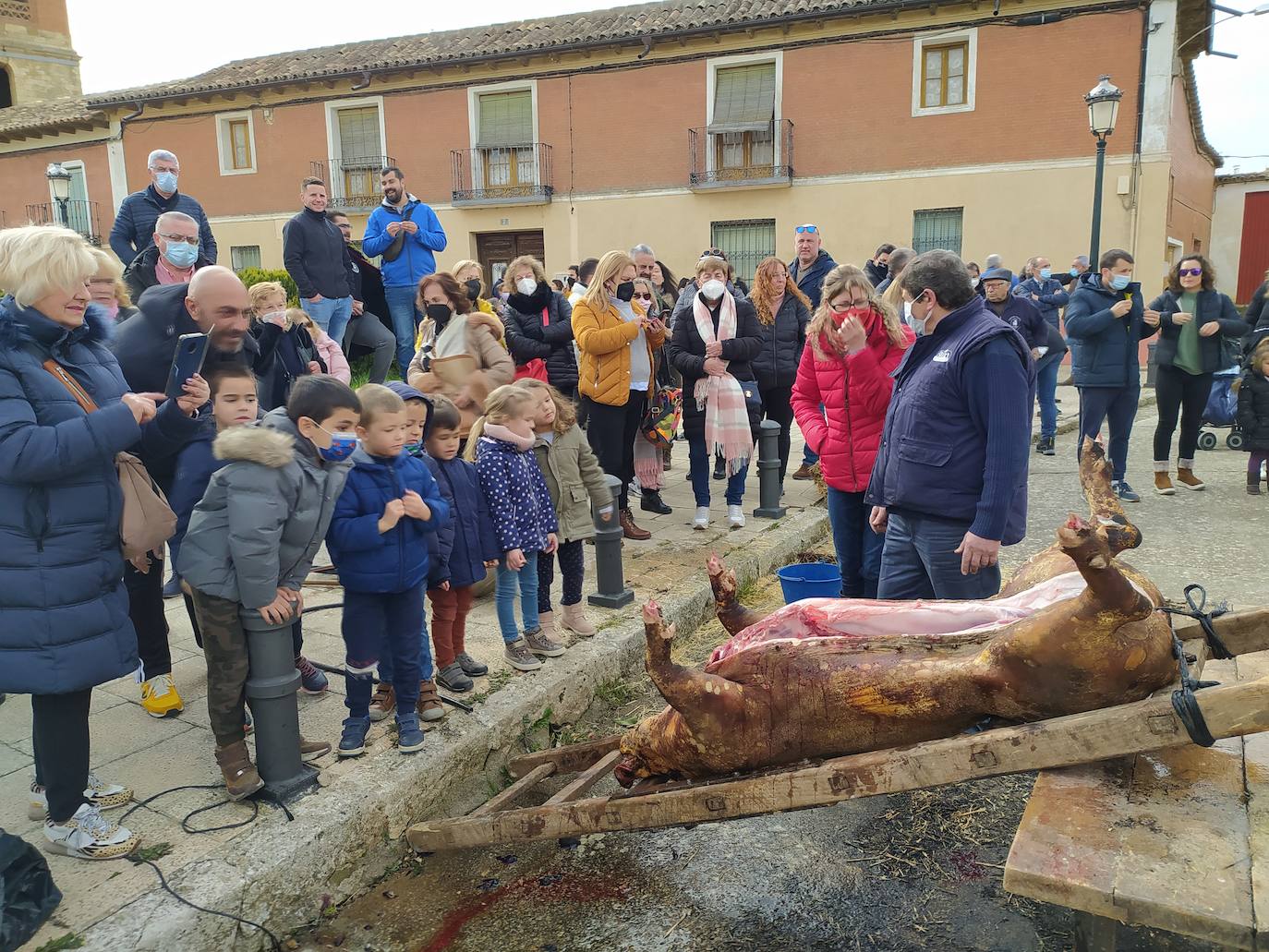 Fotos: Fiesta de la matanza en Palazuelo de Vedija