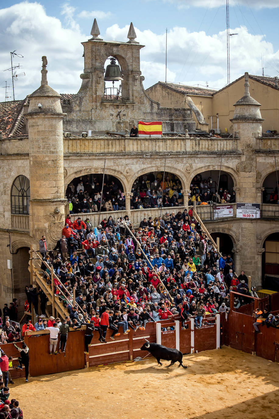 Fotos: Domingo grande en el Carnaval del Toro de Ciudad Rodrigo