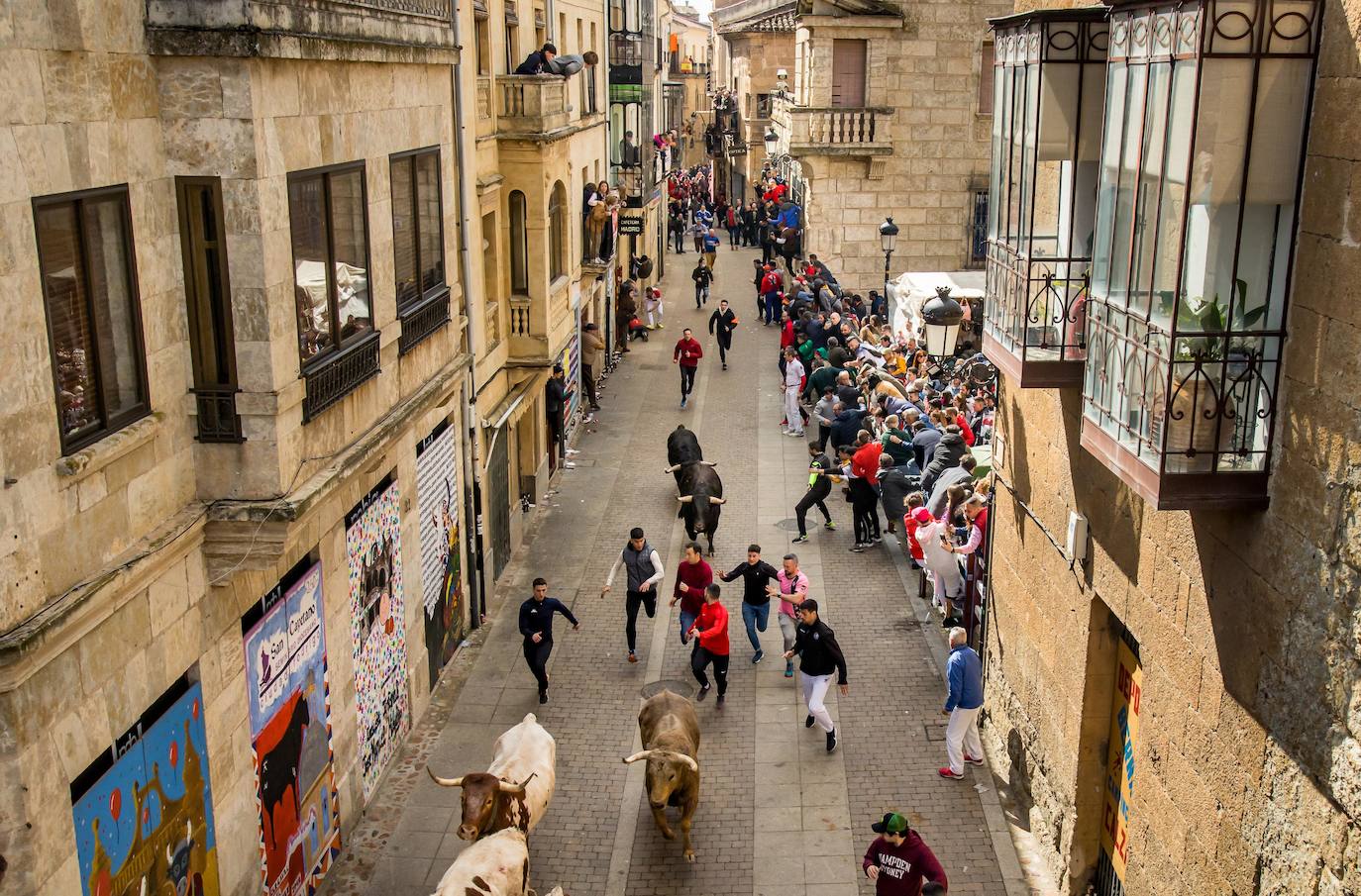 Fotos: Domingo grande en el Carnaval del Toro de Ciudad Rodrigo