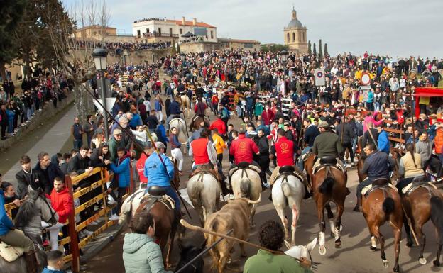 Cinco toros coronan la plaza de Ciudad Rodrigo en un encierro a caballo que deja un herido grave