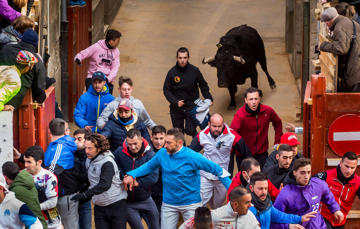 Fotos: Encierro del Martes de Carnaval en Ciudad Rodrigo