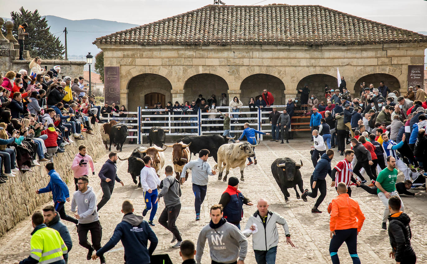 Fotos: Encierro del Martes de Carnaval en Ciudad Rodrigo