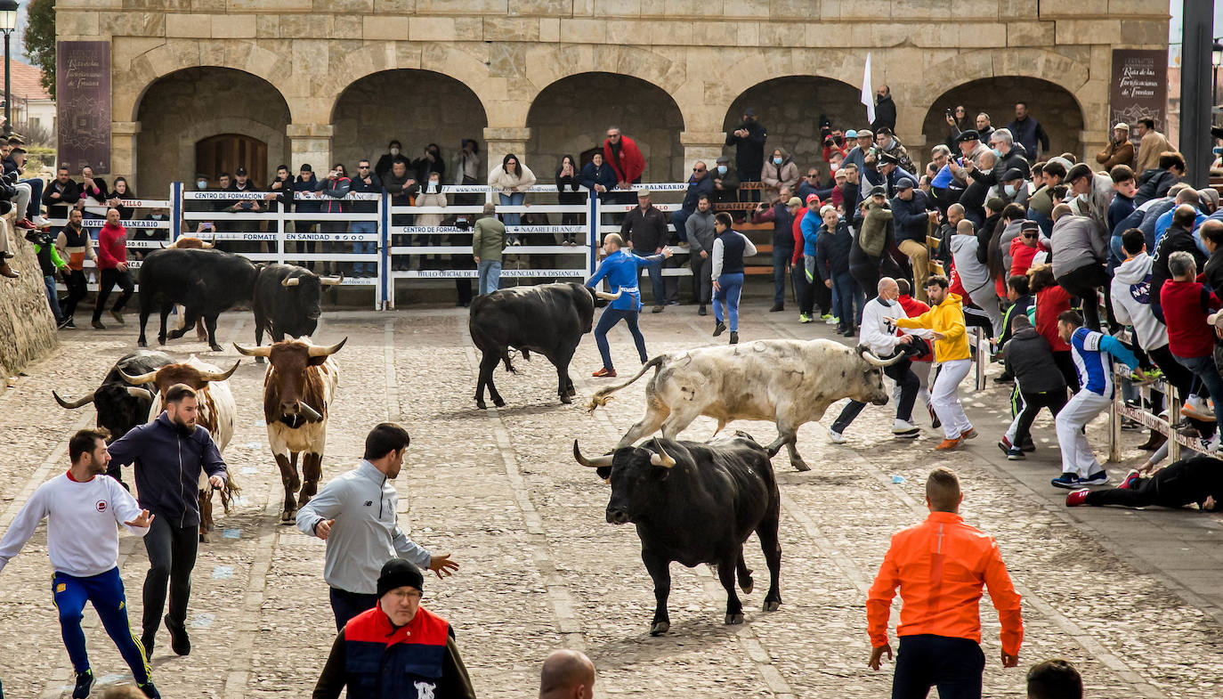 Fotos: Encierro del Martes de Carnaval en Ciudad Rodrigo