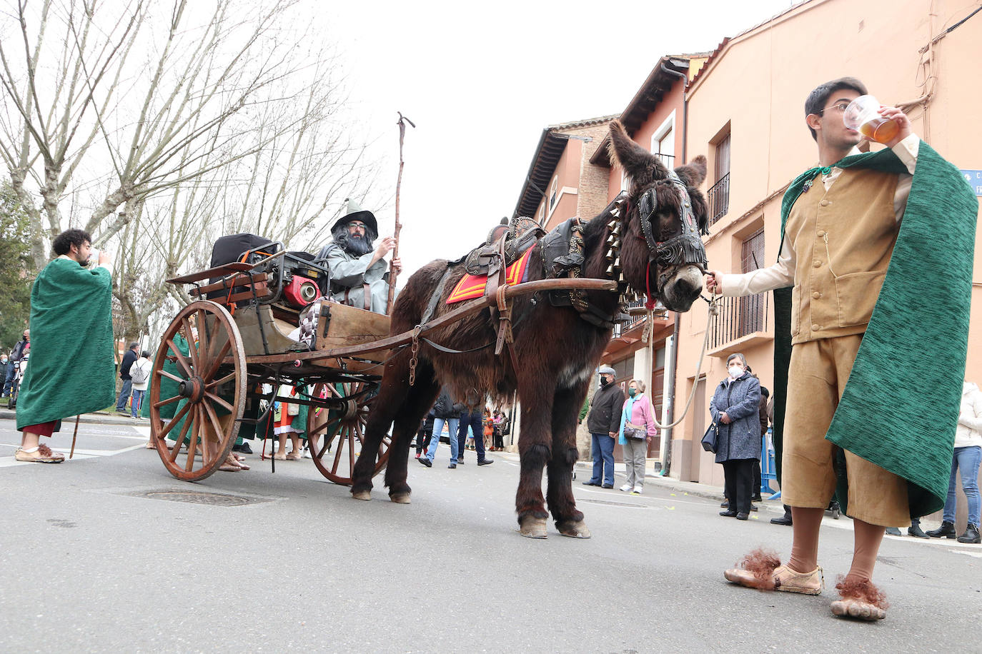 Desfile de Carnaval en Toro (Zamora)