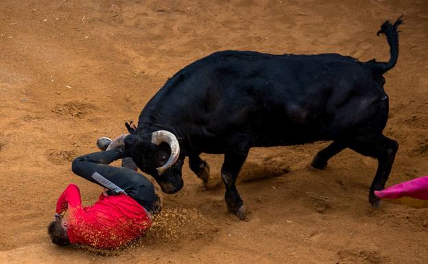 Estable dentro de la gravedad el vallisoletano herido en la capea de Ciudad Rodrigo 