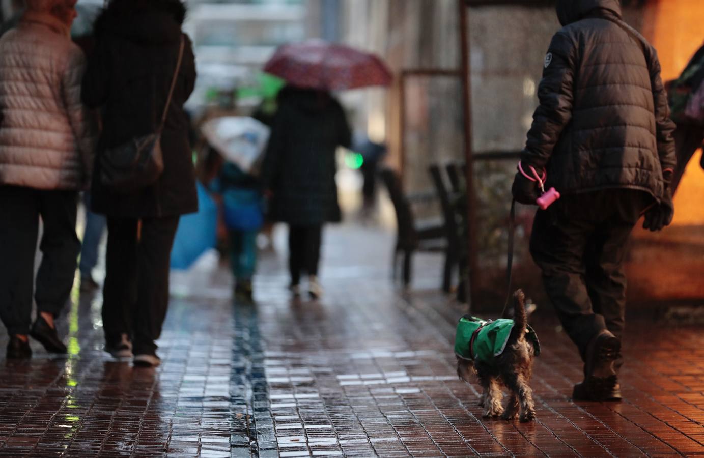 Fotos: La lluvia reaparece con fuerza en Valladolid