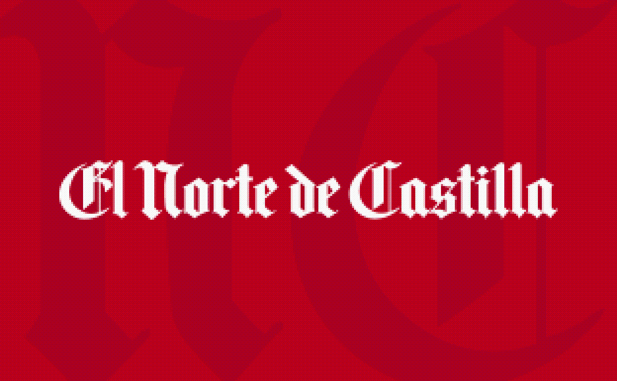 Rectificación a la noticia 'La empresa que realizó la auditoría del alumbrado en León, investigada en la Púnica'