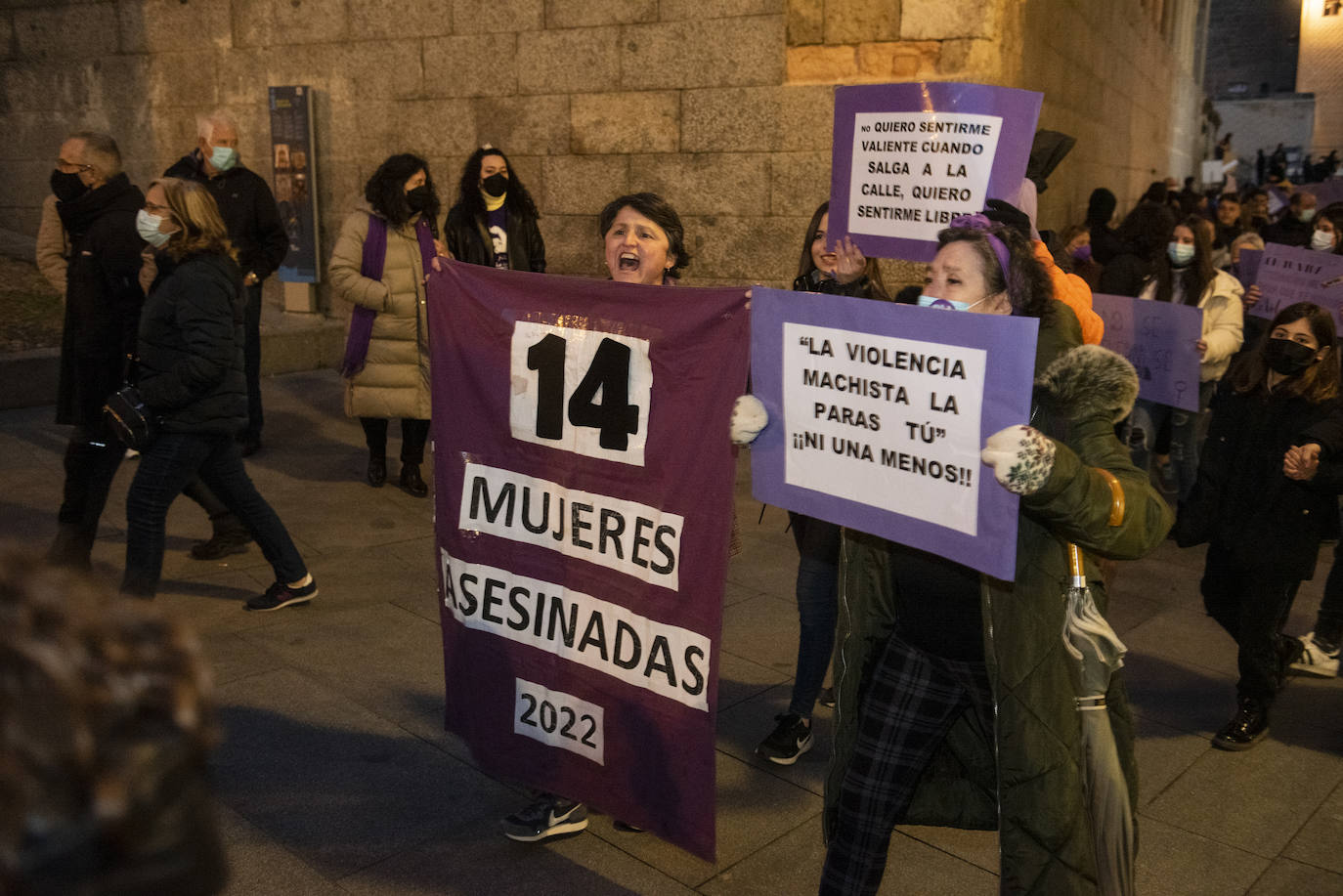 Manifestación del 8M por las calles de Segovia.