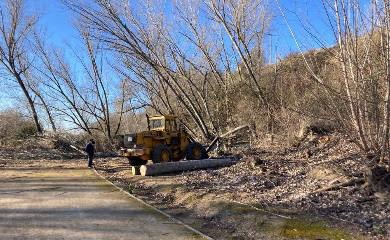 Labores de saneamiento en el parque del Socayo de Arroyo. 