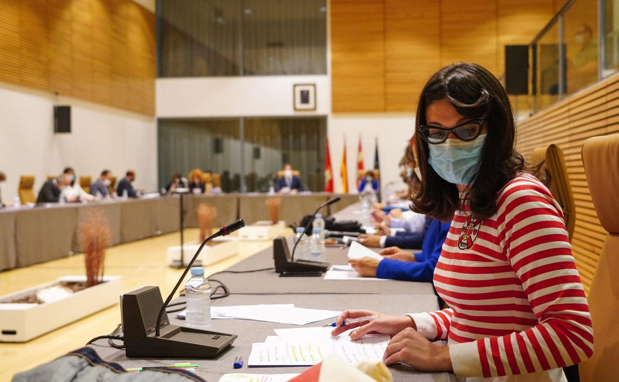 La concejala de IU en el Ayuntamiento, Virginia Carrera. 