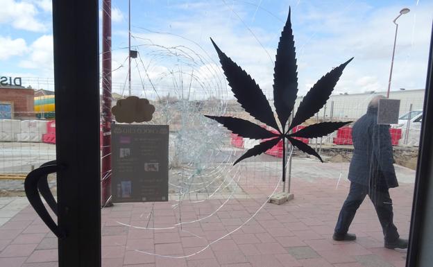 Buscan testigos del aparente intento de robo en una tienda de derivados de marihuana en Delicias