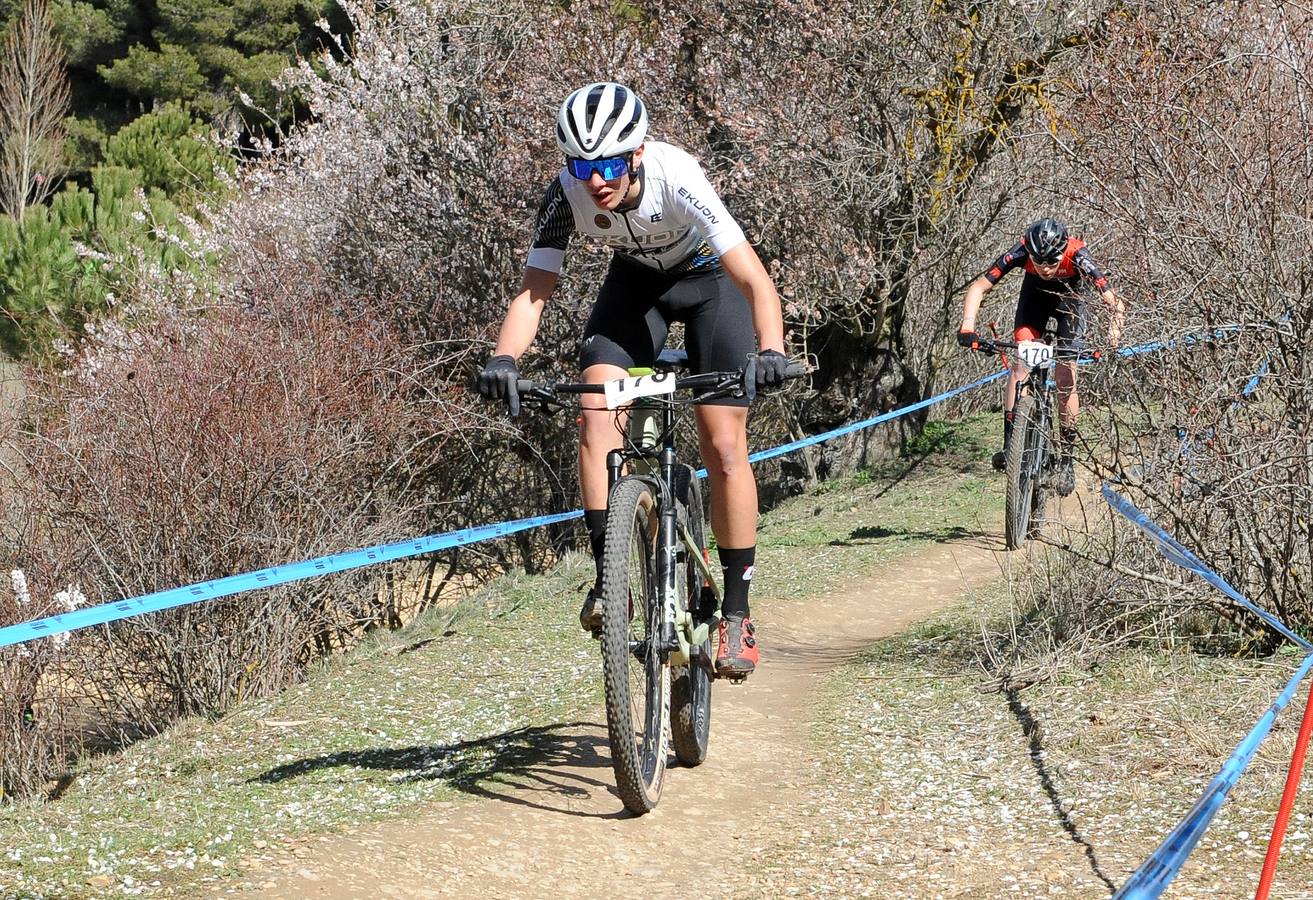 Fotos: Gran Premio Ciudad de Valladolid de BTT (1/2)